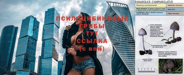 мяу мяу мука Абинск