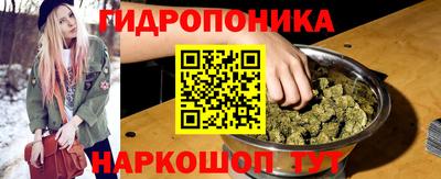 шишки Заволжье