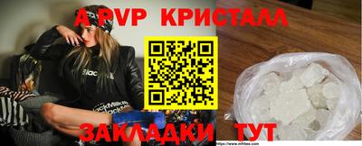 шишки Заволжье