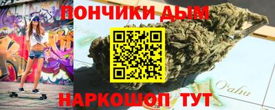 шишки Заволжье