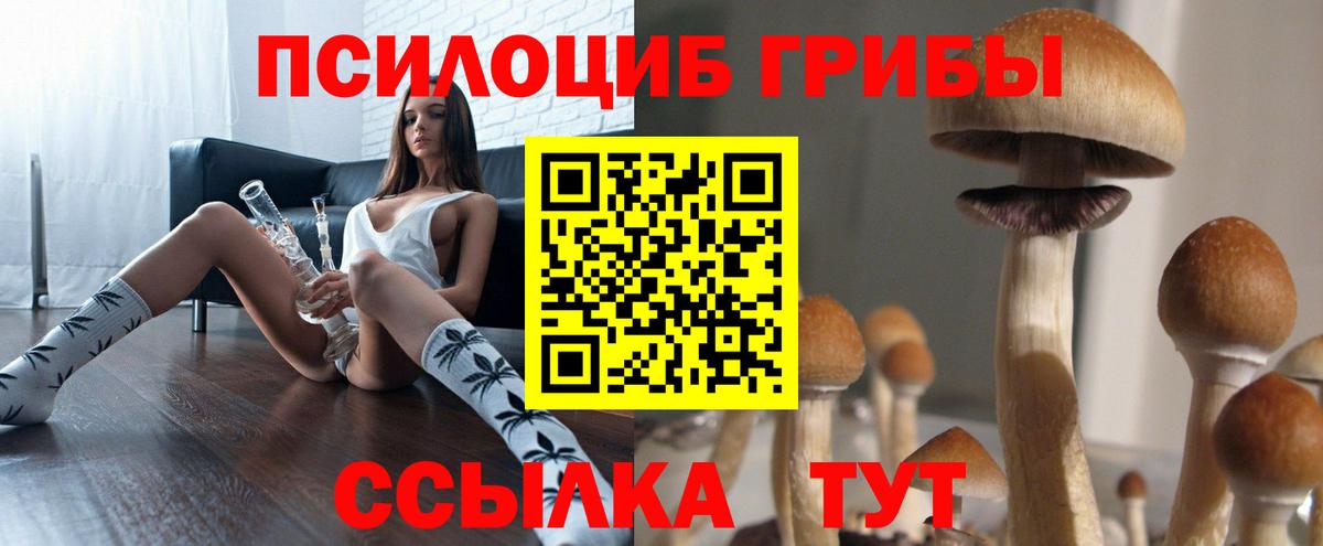 Псилоцибиновые грибы мицелий Кимовск
